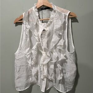 Zara Sheer Ruffled Blouse Large